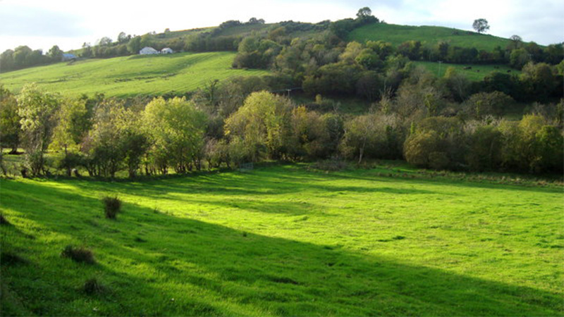 donegal_field
