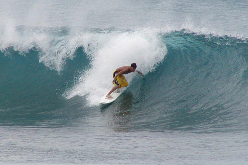 stan_shebs_surfer